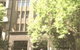 Collins Street Gallery - thumb 0