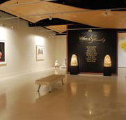 Counihan Gallery In Brunswick - Tourism Canberra