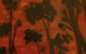 Louey & Lane Gallery - thumb 3