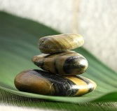 The Nature of Balance - Tourism Canberra