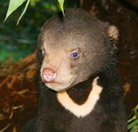 Perth Zoo - Tourism Canberra