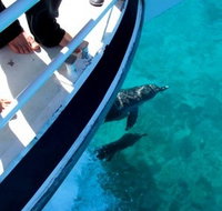 Pelican Charters - Tourism Canberra