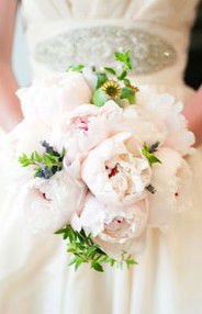 Karralyka Centre - Tourism Canberra 3