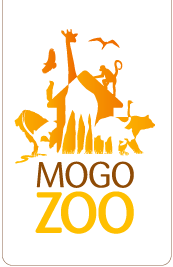 Mogo NSW Tourism Canberra