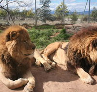 Mansfield Zoo - Tourism Canberra