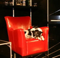 Old Fitzroy Theatre - Tourism Canberra