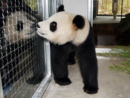 Adelaide Zoo - Tourism Canberra 3