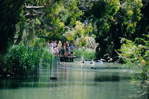 Cleland Wildlife Park - Tourism Canberra 1