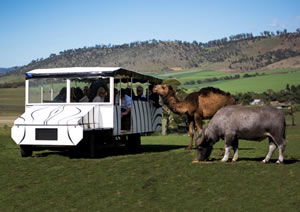 Zoo Doo Wildlife Park - Tourism Canberra 2