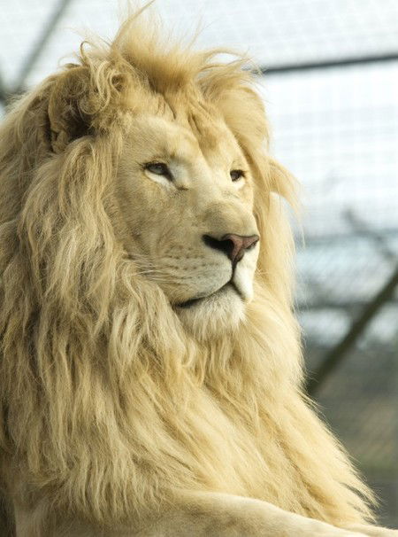 Zoo Doo Wildlife Park - Tourism Canberra 3