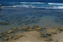 Canberra Contemporary Art Space - Tourism Canberra 0