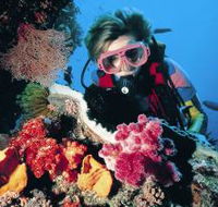 Gold Coast Seaway Dive Site - Tourism Canberra