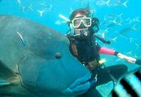 Maxi Ragamuffin - Tourism Canberra 1