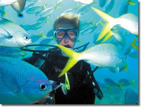 Maxi Ragamuffin - Tourism Canberra 3