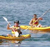 Manly Kayaks - Tourism Canberra