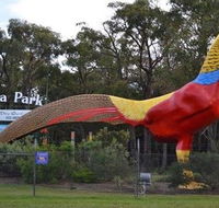 Gumbuya Park - Tourism Canberra