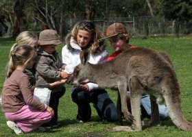 Gumbuya Park - Tourism Canberra 1