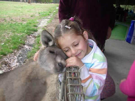 Gumbuya Park - Tourism Canberra 3