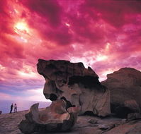 Kangaroo Island Adventure Tour 2 day/1 night - Tourism Canberra