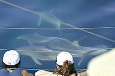 Temptation Sailing - Tourism Canberra 2