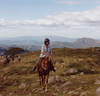 High Country Horses - Tourism Canberra
