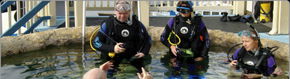 Scuba World - Tourism Canberra 2