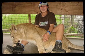 Cairns Wildlife Safari Reserve - Tourism Canberra 1