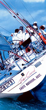 Koala Adventures - Tourism Canberra 1