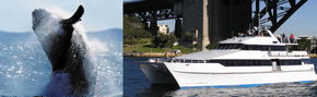 Prestige Harbour Cruises - Tourism Canberra 3