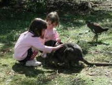 Urimbirra Wildlife Park - Tourism Canberra 1