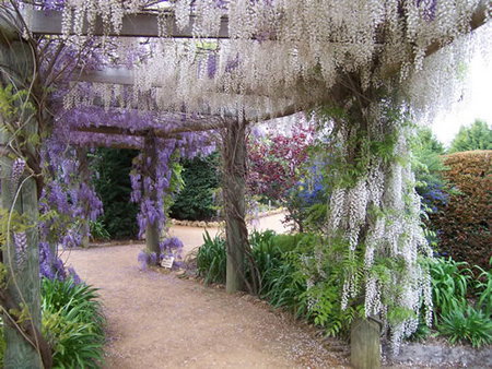 Abingdon Miniature Village - Tourism Canberra 0