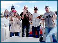Odyssey Charters - Tourism Canberra 2