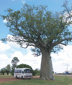 Kununurra Cruises - Tourism Canberra 1