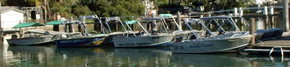 Brooklyn Central Boat Hire & General Store - Tourism Canberra 1