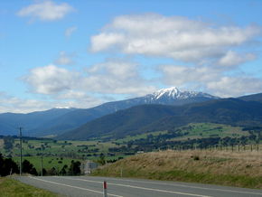 Buller View Wines - Tourism Canberra 2