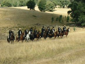 McCormacks Mountain Valley Trail Rides - Tourism Canberra