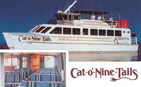 Cat O' NineTails - Tourism Canberra 1
