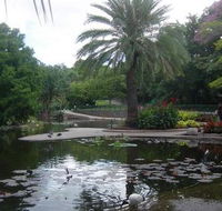 Brisbane City Botanic Gardens - Tourism Canberra