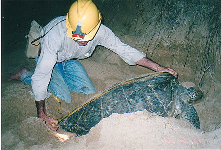 Footprints Adventures - Tourism Canberra 2