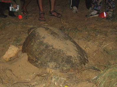 Footprints Adventures - Tourism Canberra 3