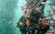 Underwater Sports Diving Centre - thumb 2