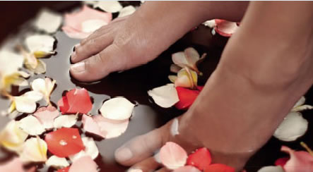 Universal Body - Tourism Canberra 1