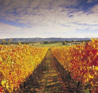 Link Tours - Tourism Canberra