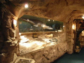 The National Opal Collection - Tourism Canberra 2