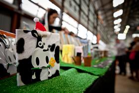 Eveleigh Markets - Tourism Canberra 1