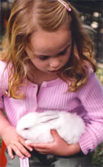 Heritage Craft Fair - Tourism Canberra 2