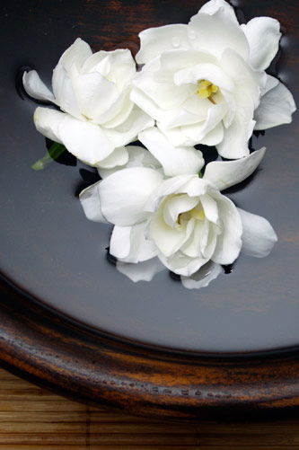 Temple Skincare - Tourism Canberra 2