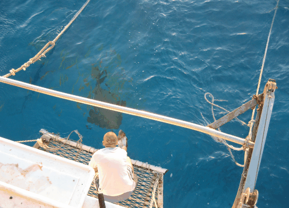 Carlo Fishing Charters - Tourism Canberra 4