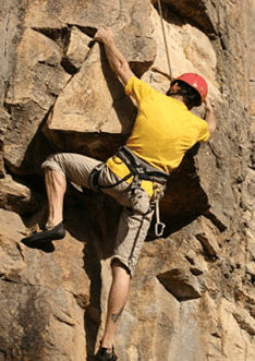 Adventures Around Brisbane - Tourism Canberra 3