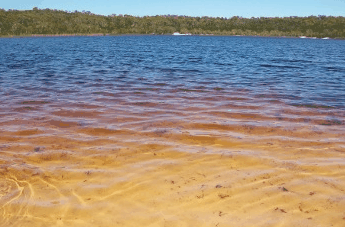 Beach Trekkers North Stradbroke Island - Tourism Canberra 1